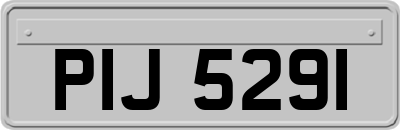 PIJ5291