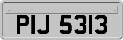 PIJ5313