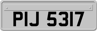 PIJ5317