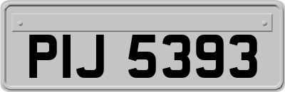 PIJ5393