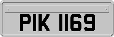 PIK1169