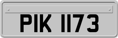 PIK1173