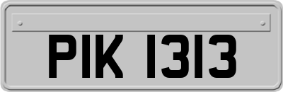 PIK1313