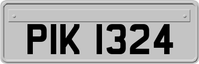PIK1324
