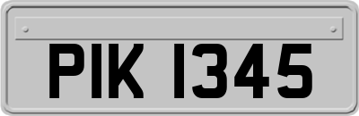 PIK1345