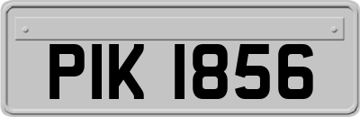 PIK1856