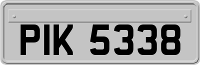 PIK5338