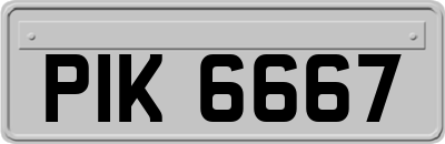 PIK6667