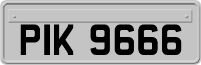 PIK9666