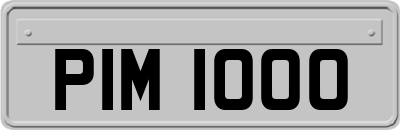 PIM1000