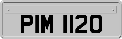 PIM1120