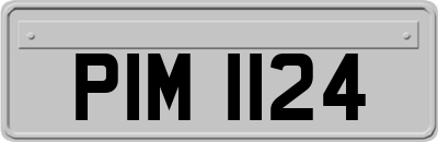 PIM1124