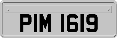 PIM1619