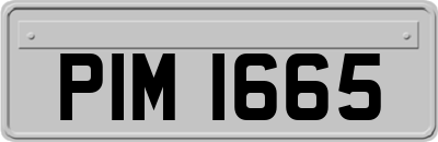 PIM1665