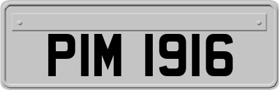 PIM1916