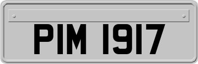 PIM1917