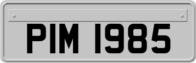 PIM1985