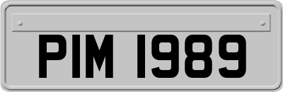 PIM1989