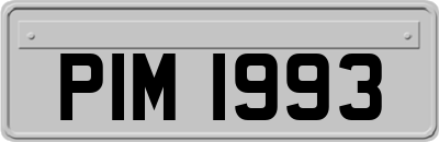 PIM1993