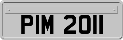 PIM2011