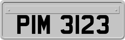 PIM3123