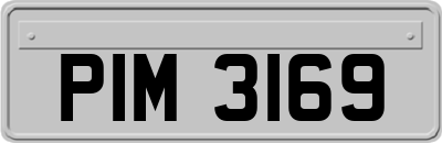 PIM3169