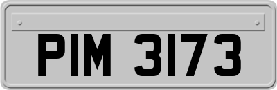 PIM3173