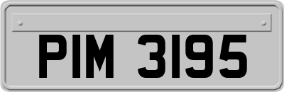 PIM3195