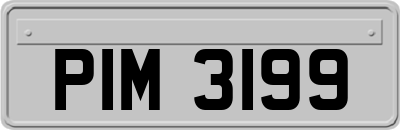 PIM3199