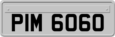 PIM6060