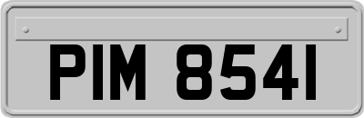 PIM8541