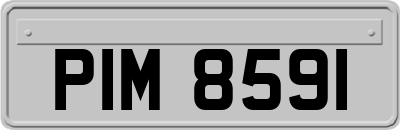 PIM8591