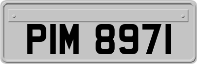 PIM8971