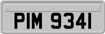 PIM9341