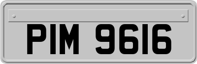 PIM9616