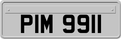 PIM9911