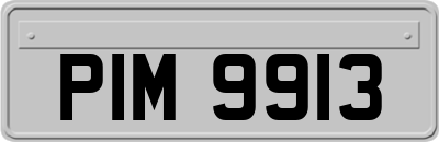 PIM9913