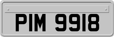 PIM9918