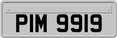 PIM9919