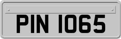 PIN1065