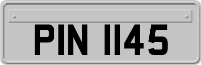 PIN1145