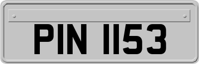 PIN1153