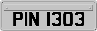 PIN1303