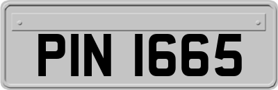 PIN1665