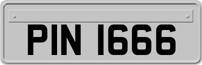 PIN1666
