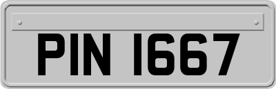 PIN1667