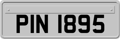 PIN1895