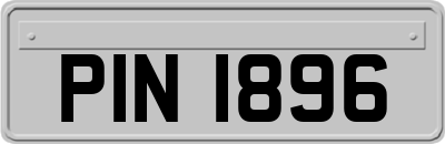 PIN1896