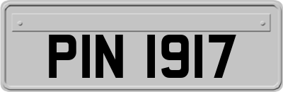PIN1917