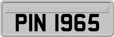 PIN1965